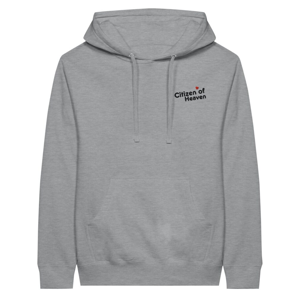 Citizen of Heaven Embroidered Hoodie Grey
